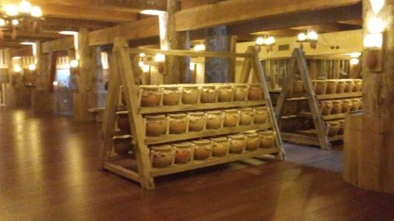 20170228_121653_resized