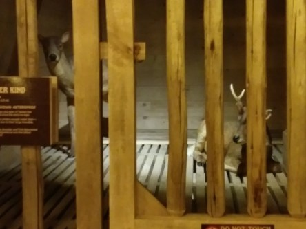 20170228_121925_resized